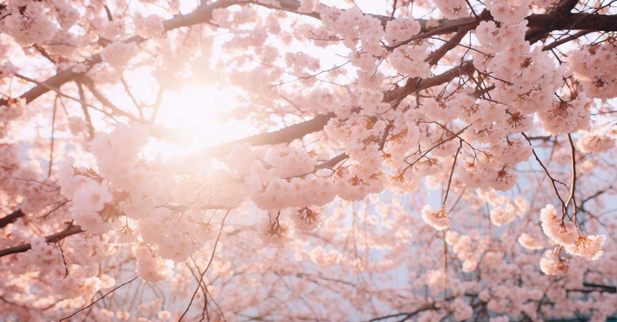 72 Inspirational April Quotes to Celebrate Spring