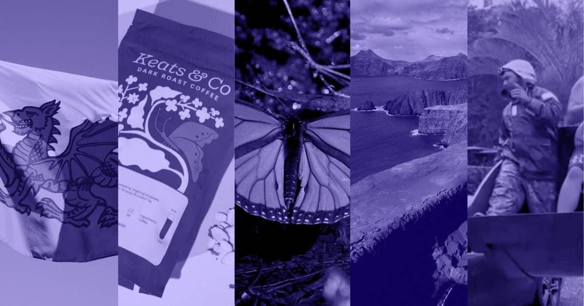 Good News Around the World This Week