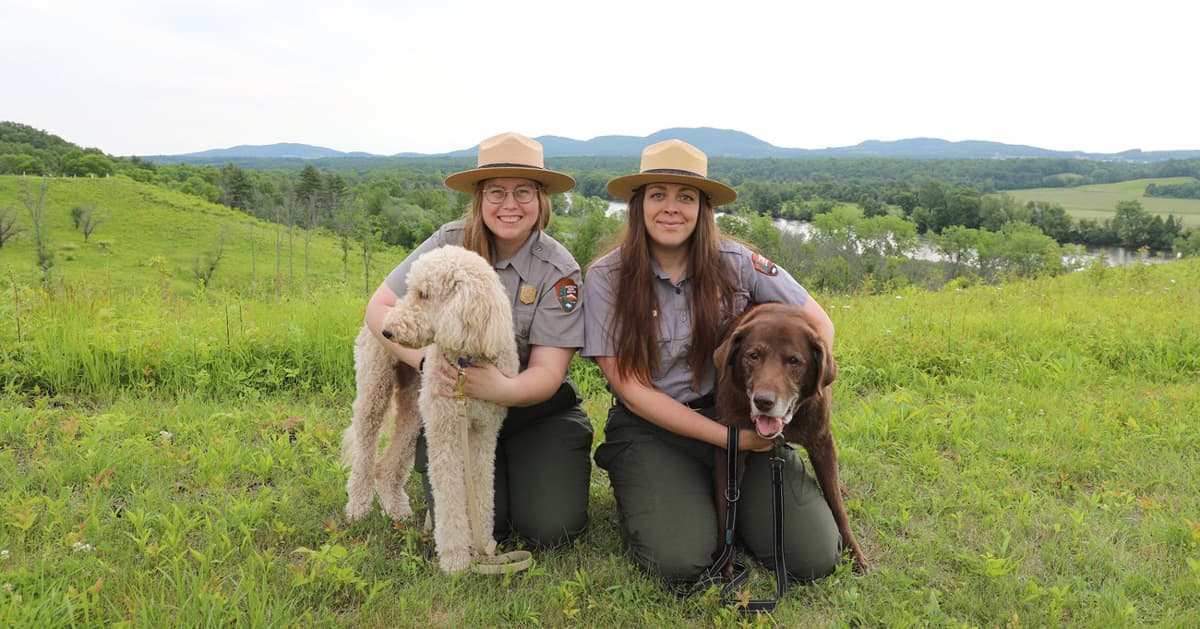 Dogs Can Become BARK Rangers at 150 National Parks
