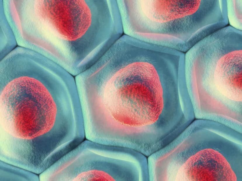 Exploring Science and Spirit: How Wonder and Awe Help Our Health